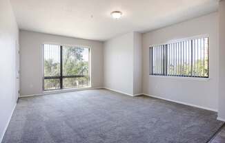 A spacious room with a large carpeted floor and two windows.