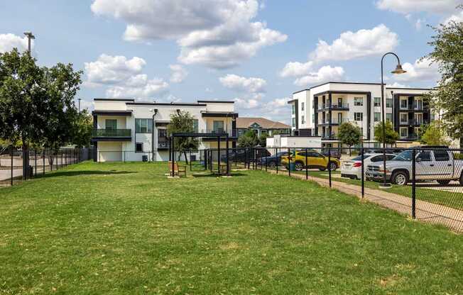 Rhythm Oversized Dog Park