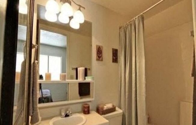 a bathroom with a sink and a toilet and a mirror