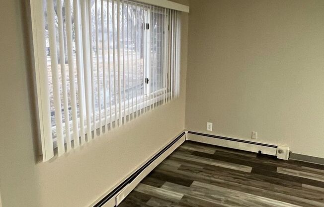 Studio, 1 bath, 462 sqft, $725, Unit DB1-1