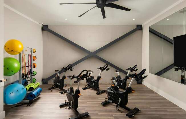 Fitness Studio with Cardio Equipment