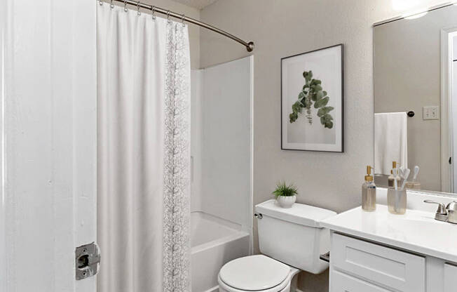 Spacious Bathrooms at Ashton Creek Apartments, PRG Real Estate Management, Chester, 23831