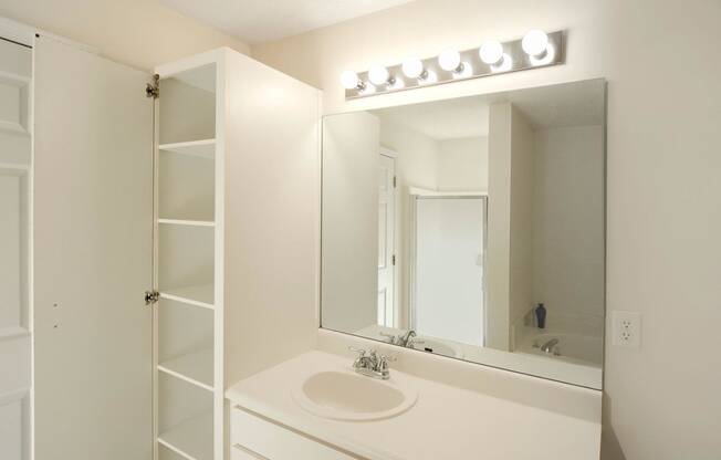 bathroom vanity with linen closet