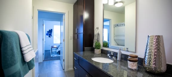 The L - Downtown Raleigh Apartments