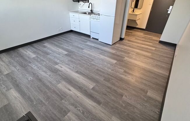 Studio, 1 bath, 265 sqft, $705, Unit 314