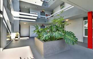 City Park View Apartments in Koreatown