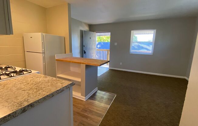 1 bed, 1 bath, 430 sqft, $700, Unit 5