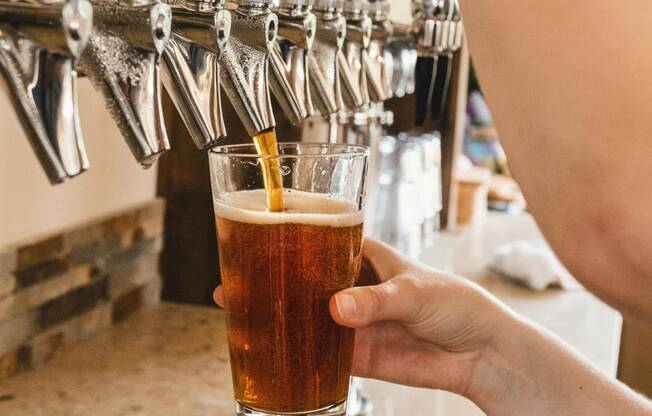 Craft Brews at Local Breweries