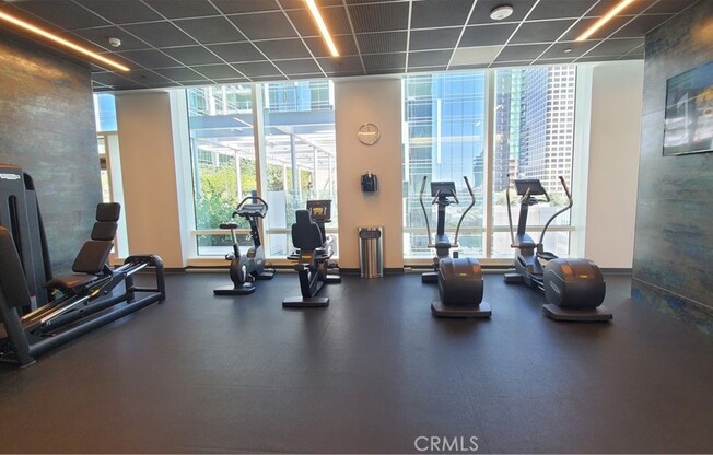 1 bed, 1 bath, 695 sqft, $2,700, Unit 2403