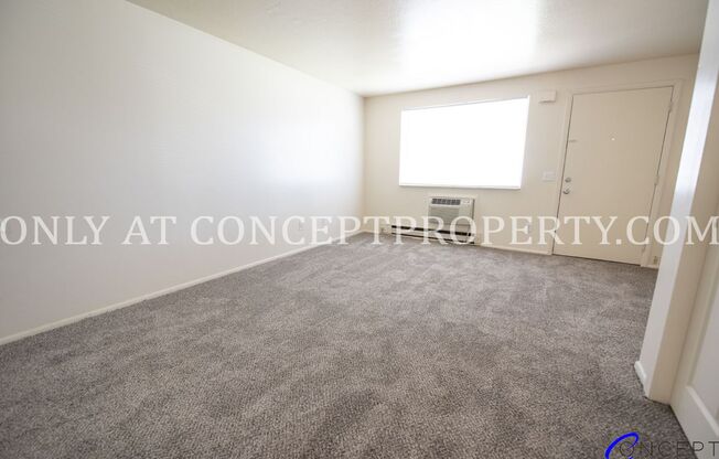 Studio, 1 bath, 360 sqft, $699, Unit 234