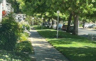 Charming 1 Bedroom, 1 Bathroom Condo for Rent!