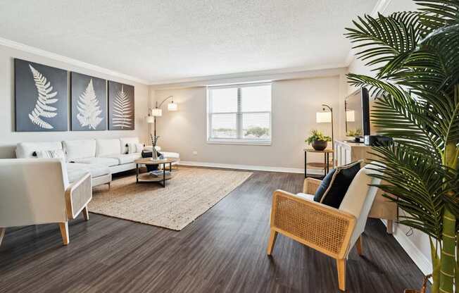 A living room with a white couch, a wooden chair, and a rug.