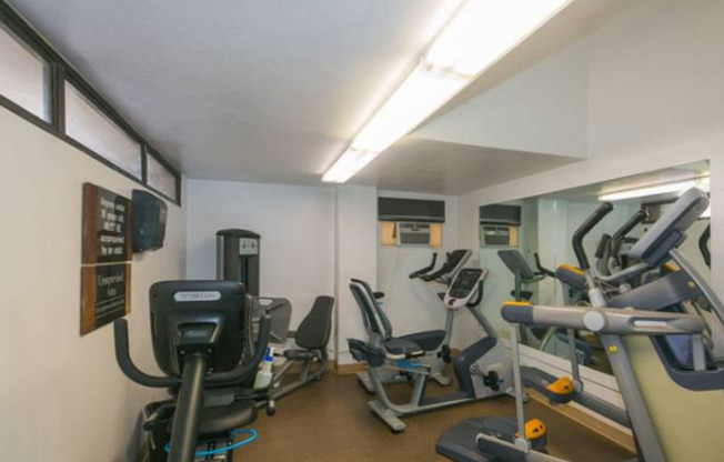 1 bed, 1 bath, $3,000, Unit # 1213