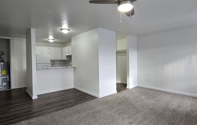 Studio, 1 bath, 490 sqft, $1,115, Unit 3410-29