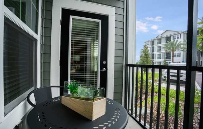 Balcony at Palms at Magnolia Park in Riverview, FL