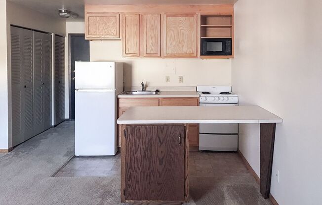 Studio, 1 bath, 300 sqft, $1,060, Unit 102-204
