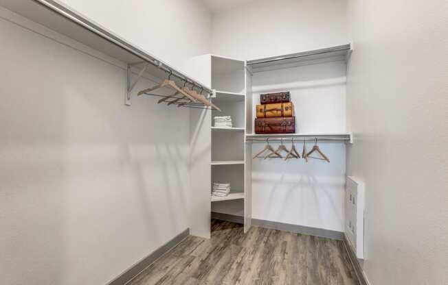 a walk in closet with white walls and wood flooring and a mirrored closet door