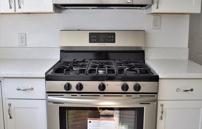 Stunning Remodel in South Side Flats