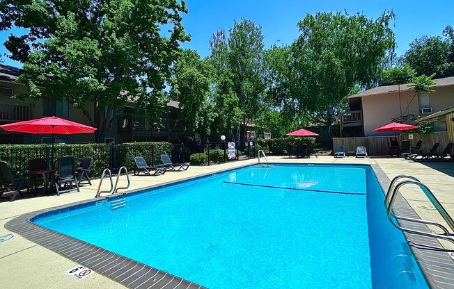 Studio, 1 bath, 360 sqft, $1,325, Unit 55