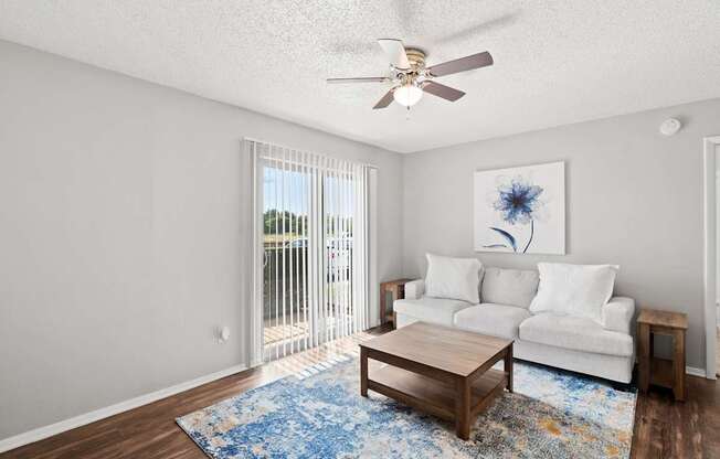 A living room with a white couch and a blue rug.