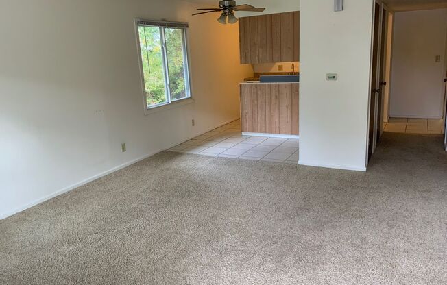 1 bed, 1 bath, 700 sqft, $750, Unit 2002 Unit 05