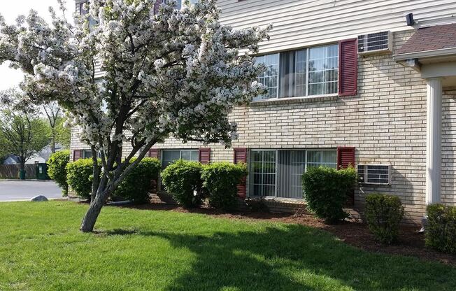 1 bed, 1 bath, 650 sqft, $995, Unit Valley Drive