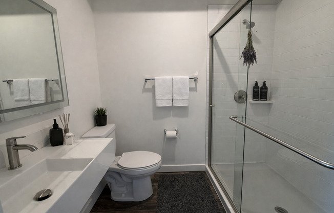 Studio, 1 bath, 278 sqft, $1,795, Unit 506