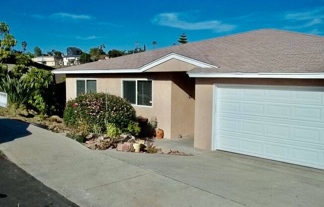 4 Bedroom 3 bath Home In Rolando Village