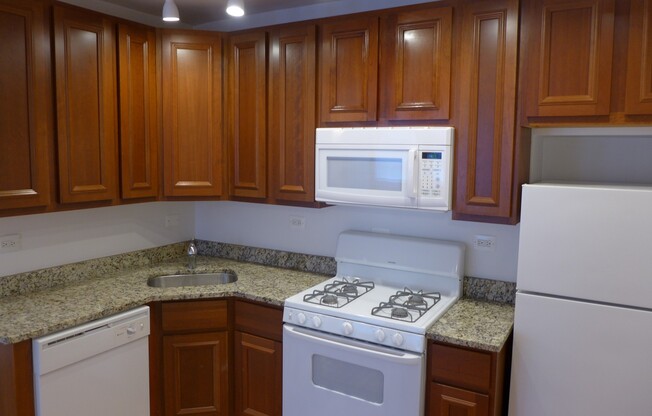 1 bed, 1 bath, 500 sqft, $1,850, Unit 300