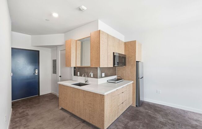 Studio, 1 bath, 305 sqft, $1,895, Unit 560