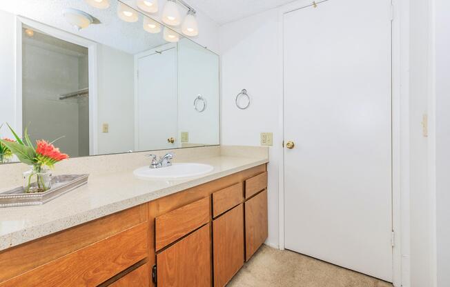 a kitchen with a sink and a mirror