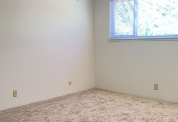 2 beds, 1 bath, 905 sqft, $1,425