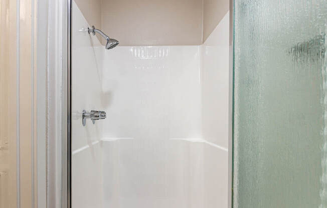 A shower stall with a glass door and a white tub.