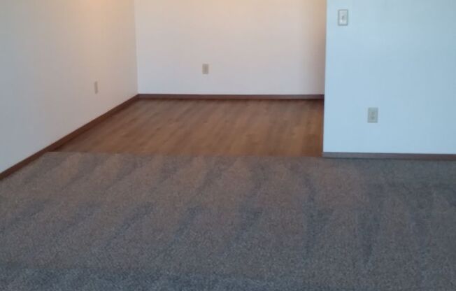 1 bed, 1 bath, 784 sqft, $1,000, Unit 113