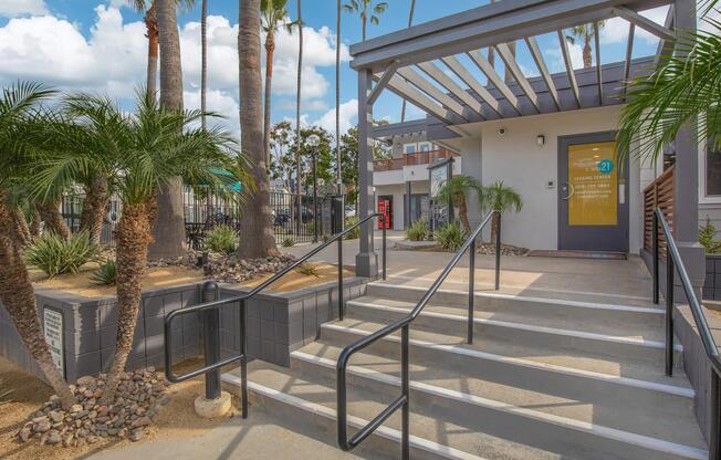 a palm tree on a sidewalk