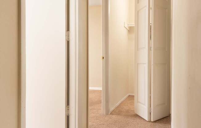 A hallway with carpeted floors and white doors.