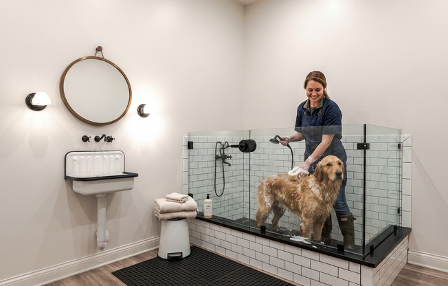MarketandMain_DogWash