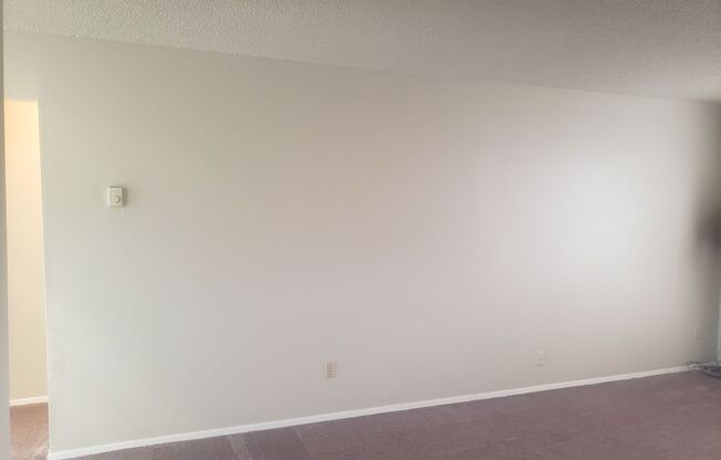 Spacious & Conveniently Located Apartment with Backyard