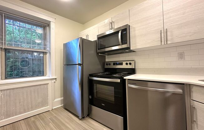 1 bed, 1 bath, 550 sqft, $1,115, Unit Apt 203