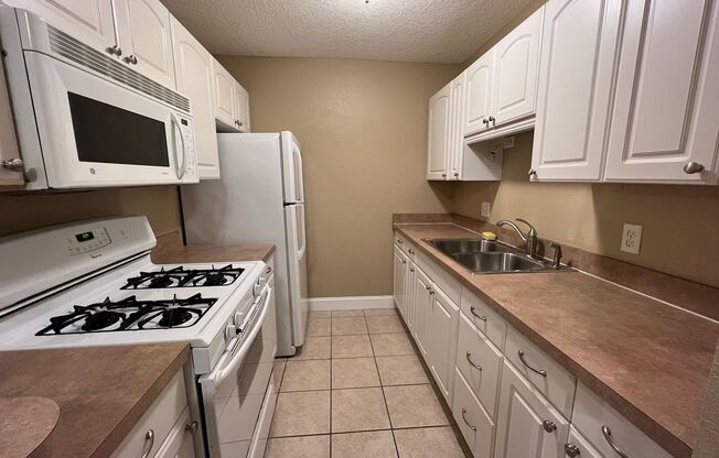 1 bed, 1 bath, $1,095