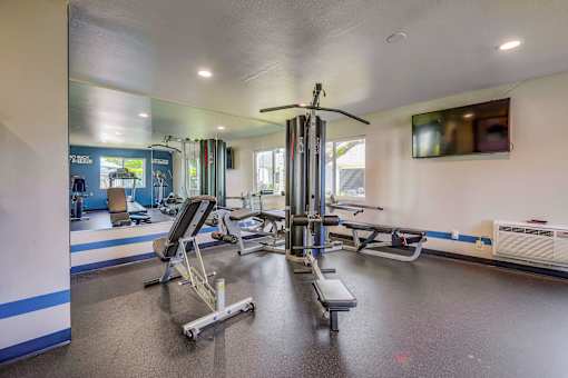 A gym with a variety of equipment including a treadmill, a bench press, and a squat rack.