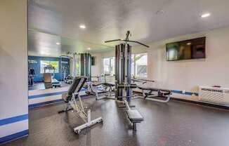 A gym with a variety of equipment including a treadmill, a bench press, and a squat rack.