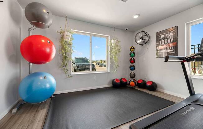 A room with a treadmill, exercise balls, and a hanging plant.