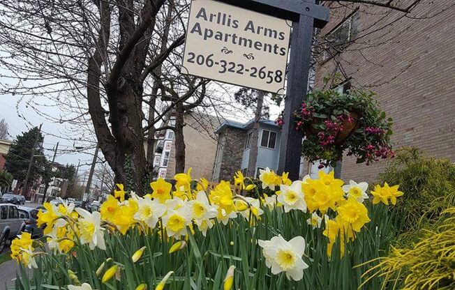 Arllis Arms Apartments