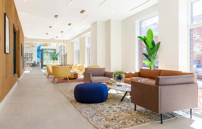 A living room with a blue rug and a brown couch.