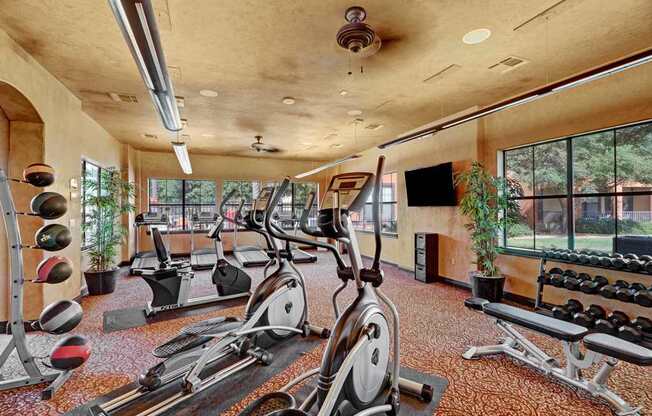 A spacious fitness center here at Tuscany at Faudree with treadmills, elliptical machines, and stationary bikes arranged across patterned flooring. Free weights, a weight bench, and medicine balls line the room, while large windows, mirrors, ceiling fans, and mounted televisions create a bright, motivating workout space.