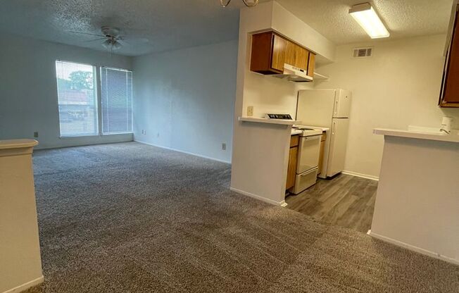 1 bed, 1 bath, 710 sqft, $870, Unit 259