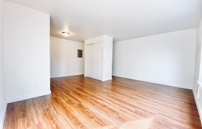 Studio, 1 bath, 459 sqft, $1,495, Unit 403