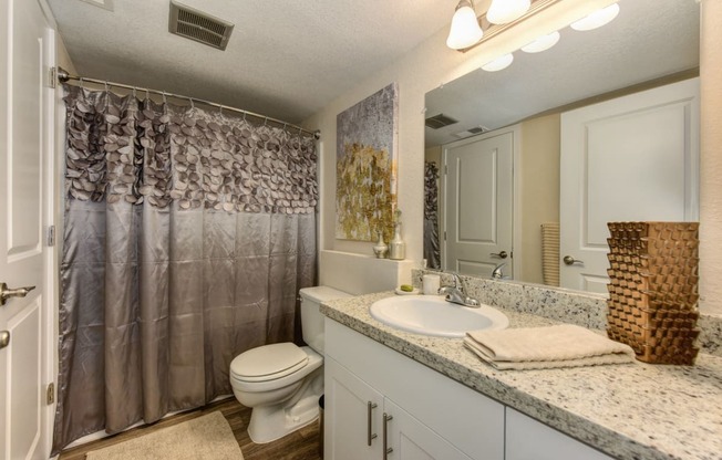 Bathroom with Granite Countertops, Toilet, Silver Shower Curtains, White Cabinets and Vanity