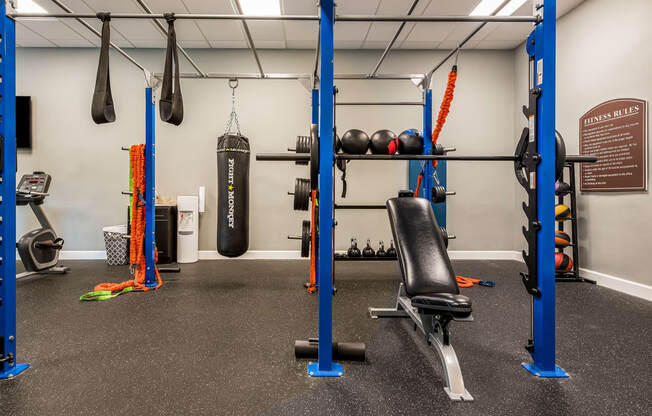 Fitness Center at The Oasis at Wekiva, Apopka